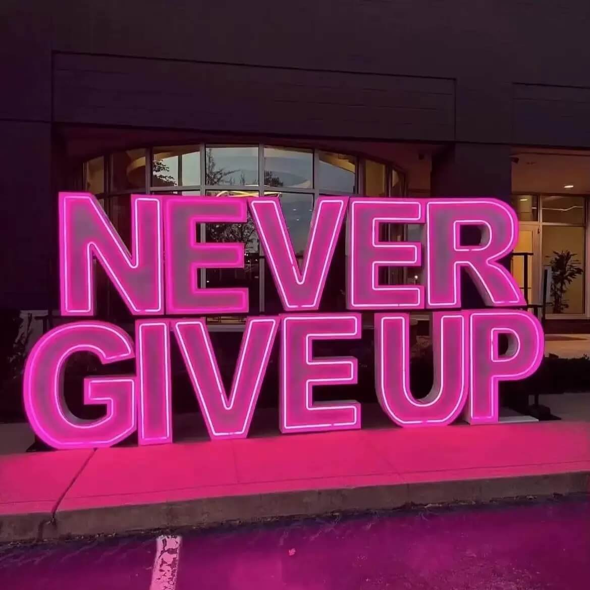 Pink LED Neon Motivational Quote Sign (Never Give Up) (1)