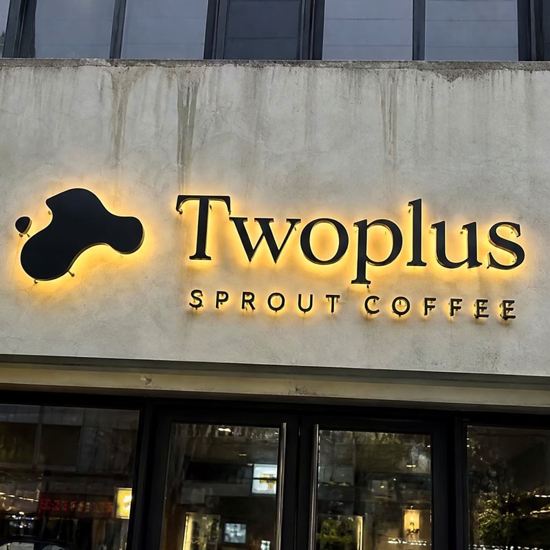 electroplated stainless steel illuminated storefront channel letters mirror gold metallic backlit channel letters