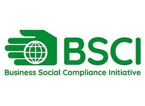 bsic-Certification.jpg